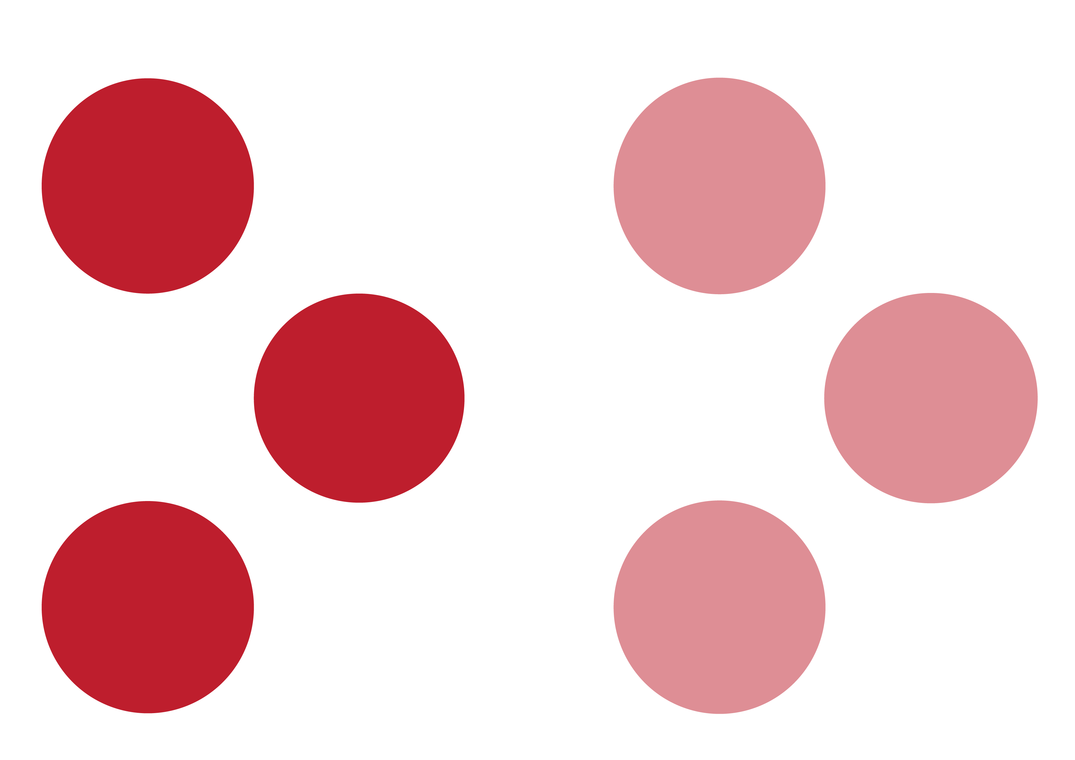 Icona simbolo REISER Sviluppo